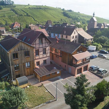 Pinot Gris - Charmant Studio Au Coeur Du Vignoble - Parking Gratuit Riquewihr Exterior photo